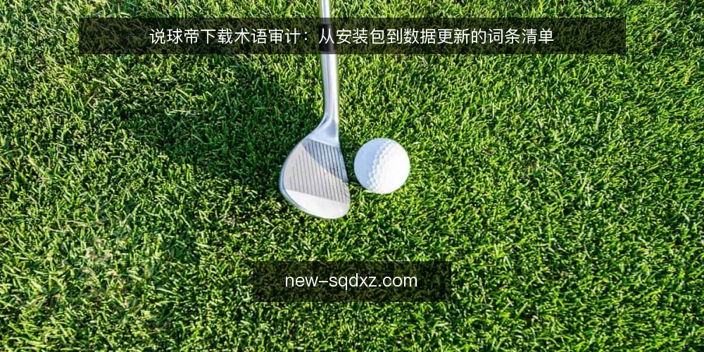 说球帝下载术语审计:从安装包到数据更新的词条清单 — 为何现在审计下载术语 配图