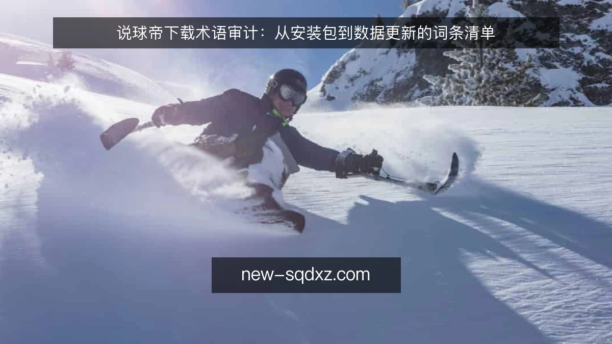 说球帝下载术语审计:从安装包到数据更新的词条清单