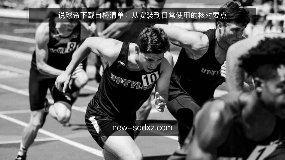 说球帝下载自检清单:从安装到日常使用的核对要点