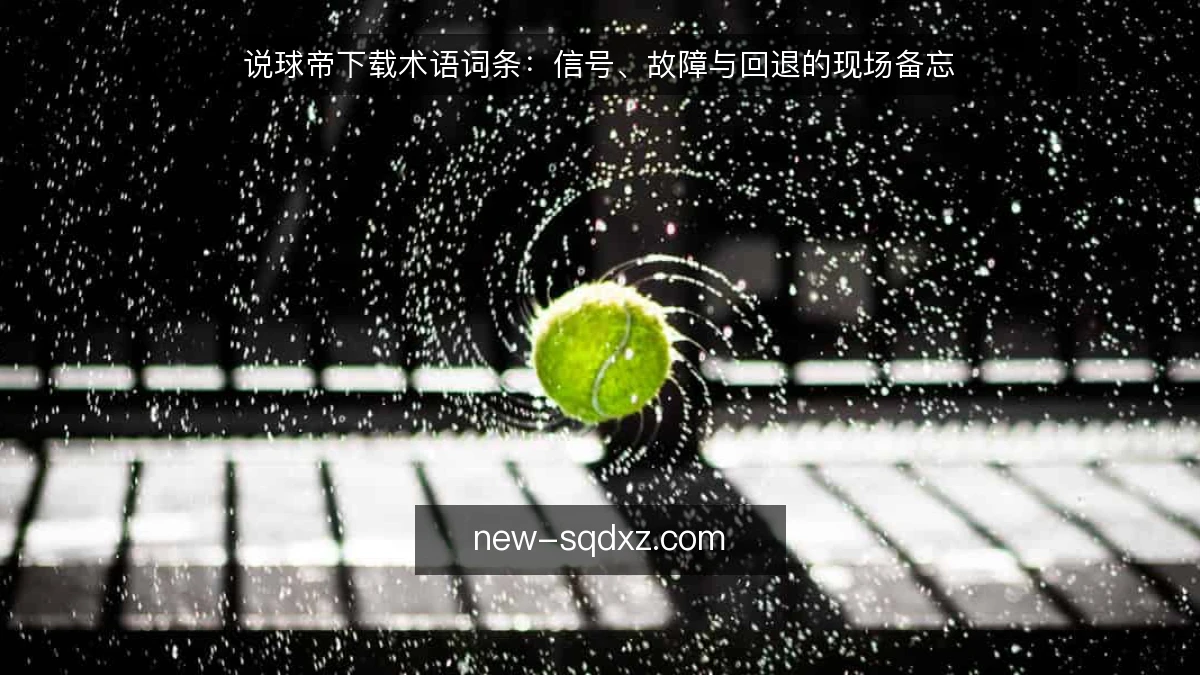 说球帝下载术语词条:信号、故障与回退的现场备忘
