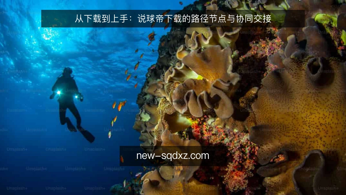 从下载到上手:说球帝下载的路径节点与协同交接